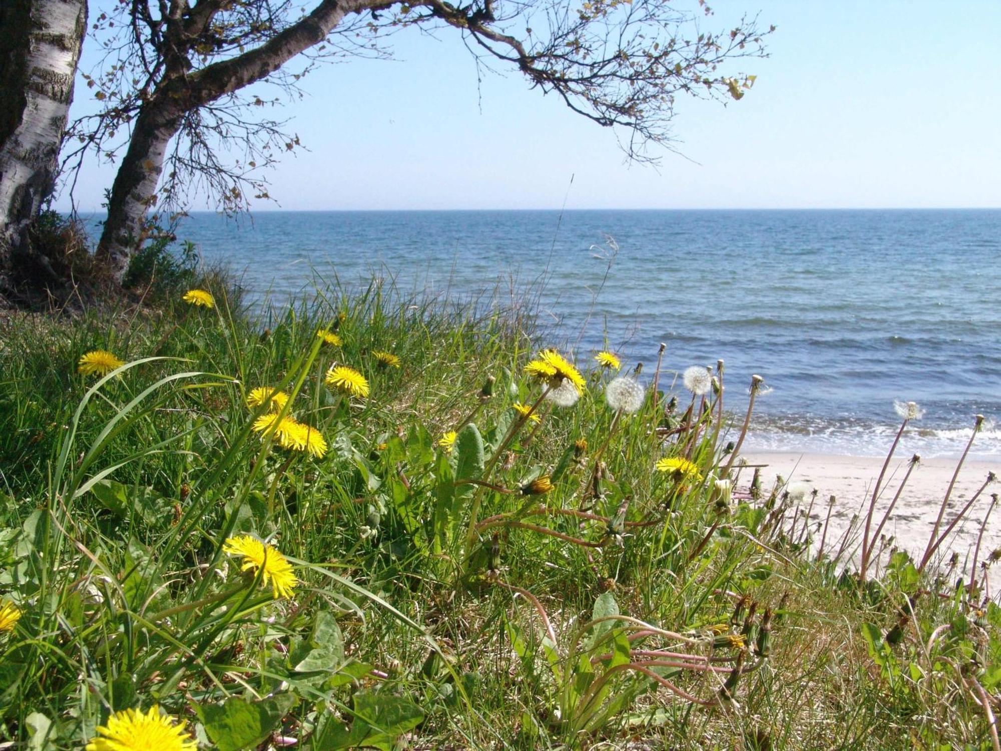 Ystad Camping Экстерьер фото